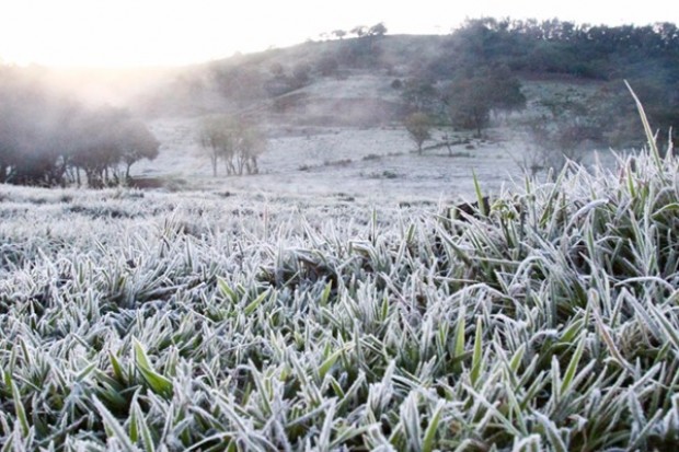 FRIO RECORD NO SUL DO BRASIL